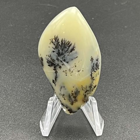 Curved Dendritic Opal Fancy