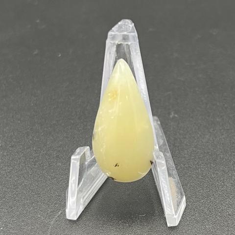 Common Dendritic Opal  Pear