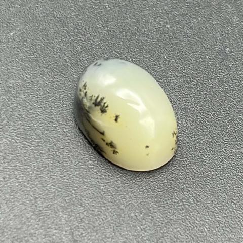 Common Dendritic Opal Oval