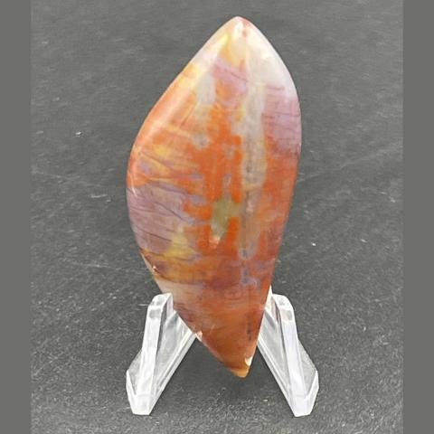 AZ-Petrified Wood Skewed Navette
